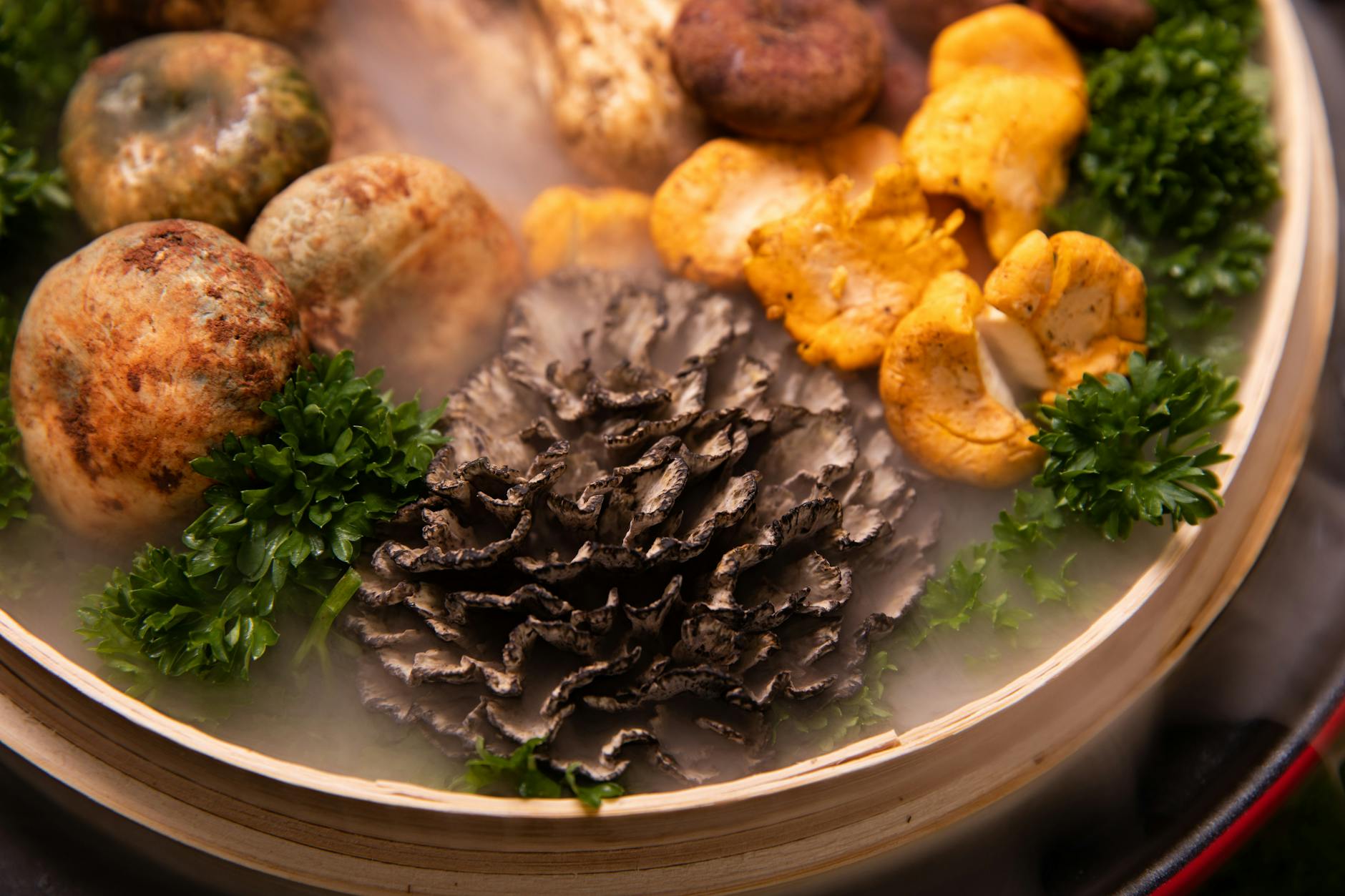 Matsutake and Chanterelles Foraging Guide: Best Spots for Bountiful Harvests Assorted gourmet mushrooms with fresh herbs in a steaming bowl, showcasing culinary delicacies.
