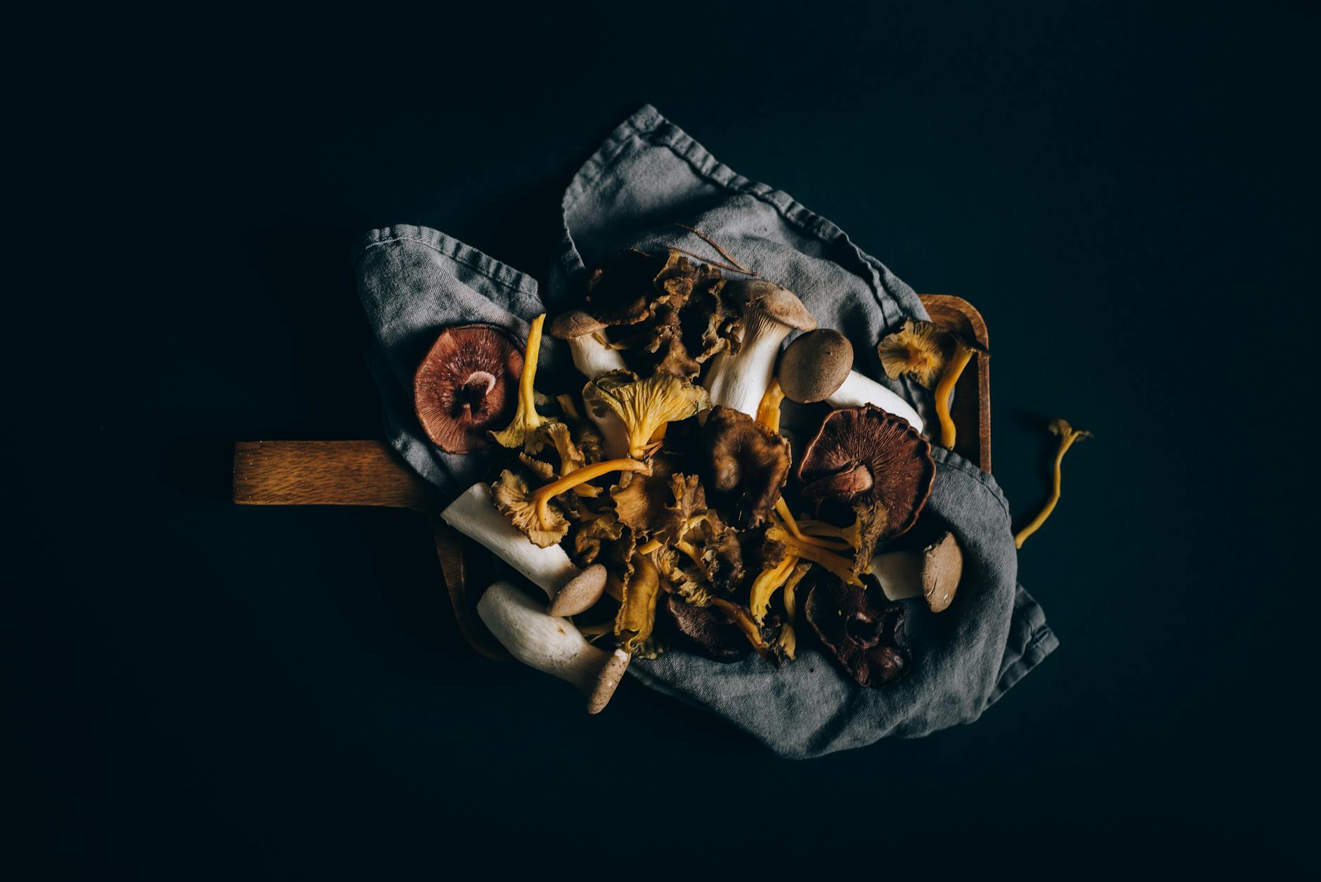 Porcini Foraging Guide: Best Tips for Locating these Meaty Edibles A variety of fresh mushrooms arranged on a dark fabric background, highlighting textures and colors.