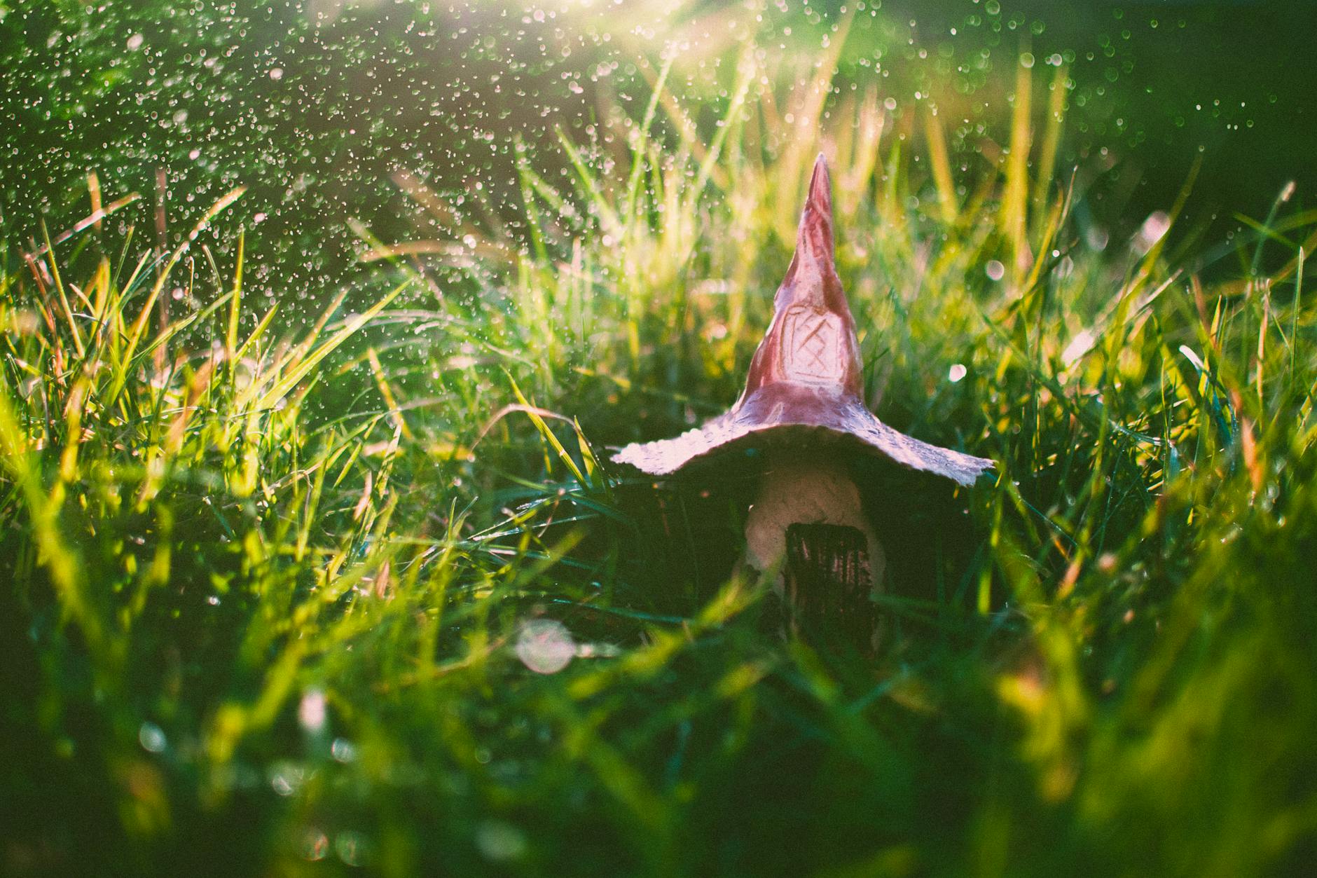 Psilocybin Perils: Uncovering the Shocking Risks of Magic Mushroom Toxicity A mystical mushroom amidst lush grass with sunlight and sparkling water droplets.