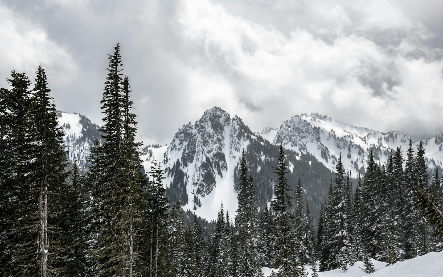Foraging for Wild Mushrooms: Top Parks and Forests in Washington Snowcapped mountains and evergreen trees set a serene winter scene near Seattle, Washington.